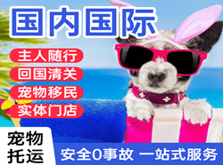 鞍山航空邮寄国际宠物托运 【国